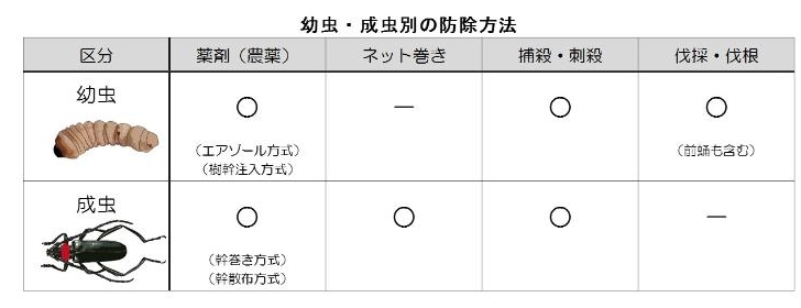 幼虫・成虫別の防除方法