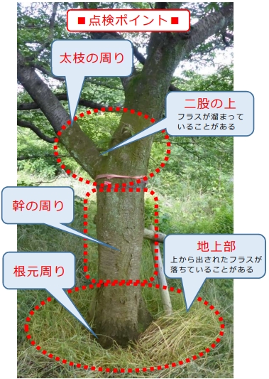 点検ポイント