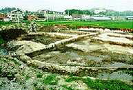遺跡-東海地方最大の貝塚