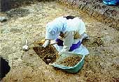 桑部城発掘調査の様子2