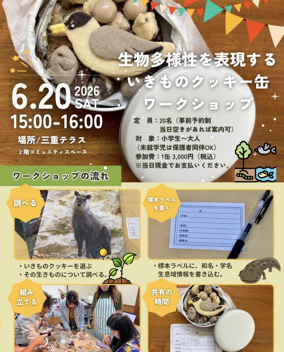 チラシ３