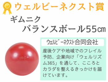 13ウェルビーネクスト合同会社