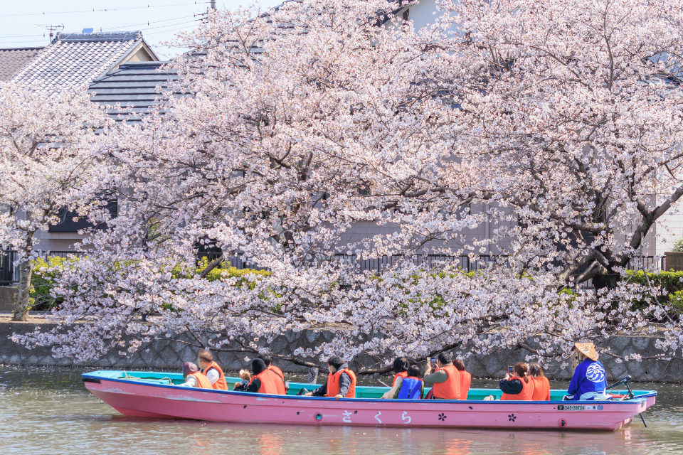 桑名城お堀めぐり