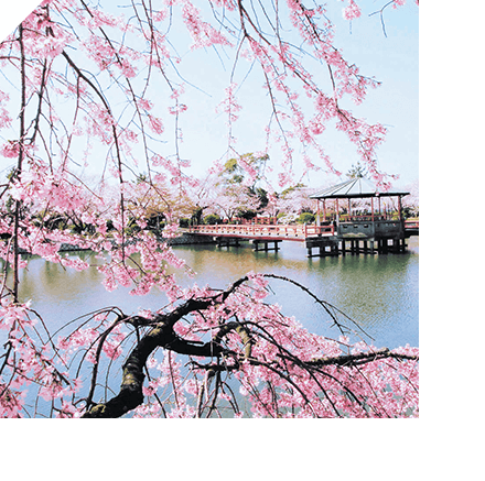 「九華公園」（さくらまつり）