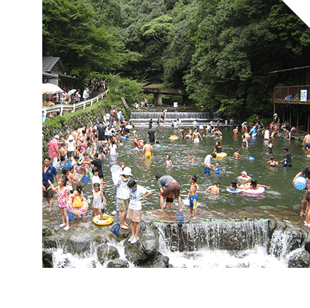 Tado Gorge